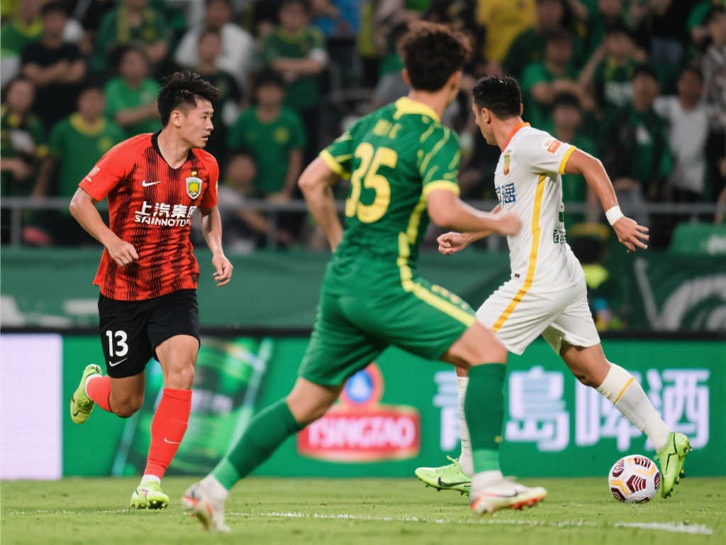 僅展示了泰 僅展示了泰