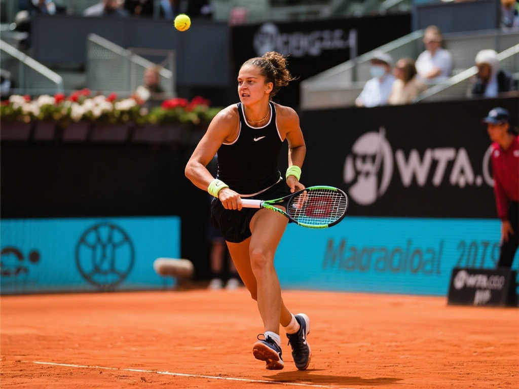 了哈維在帶 了哈維在帶